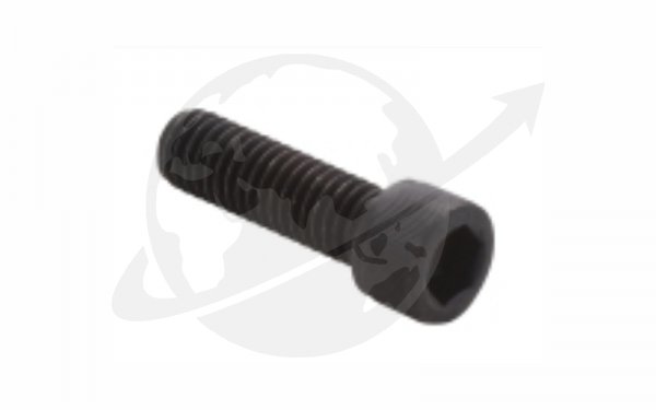Bolts